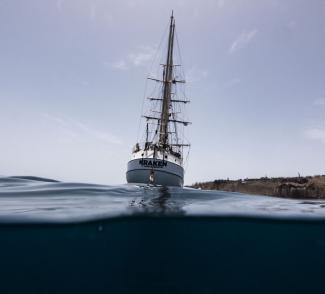 kraken