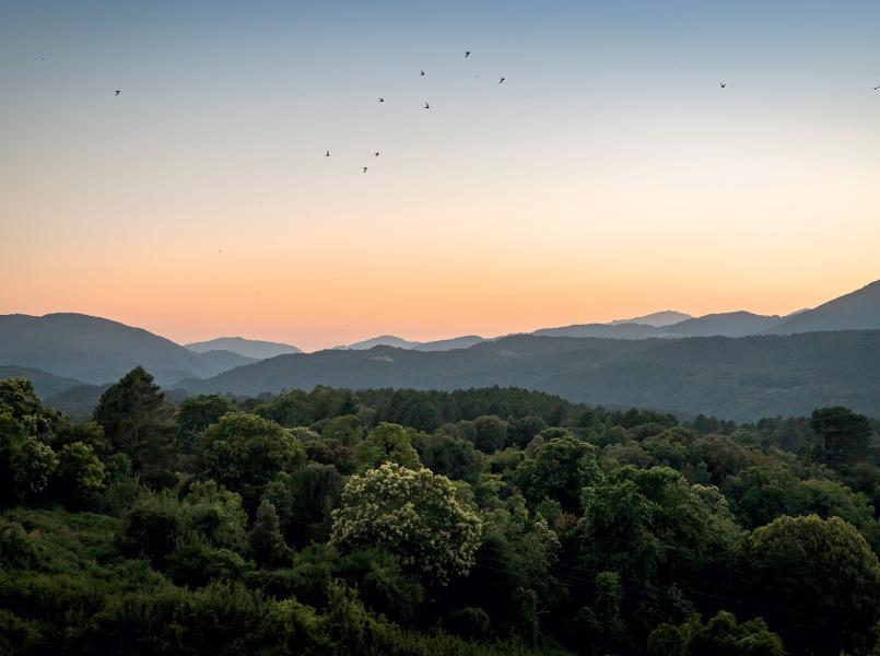 gerlor-nos-engagements